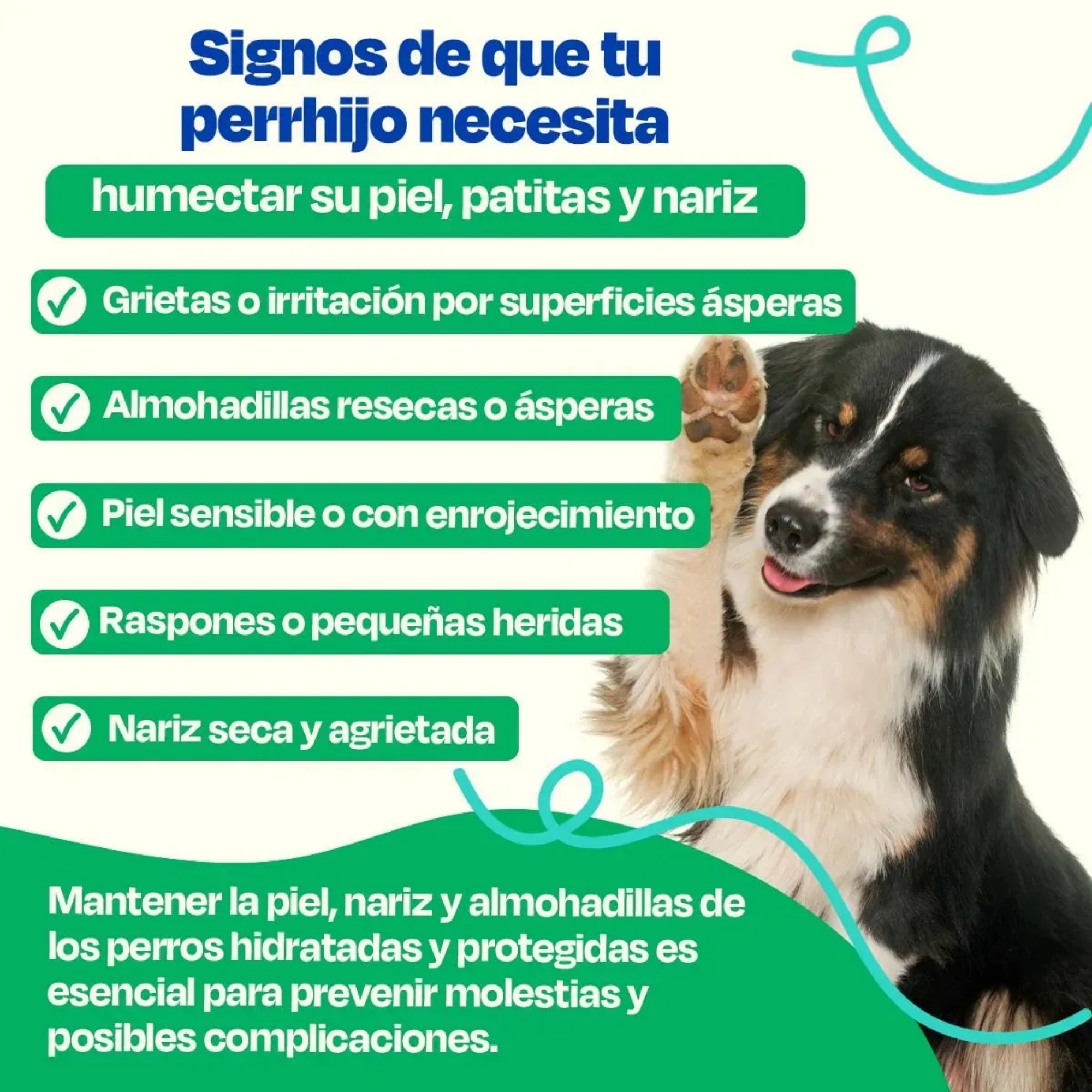 Bálsamo para Piel-Nariz- Patitas de Perro - Dog Balm  Tarro 50g